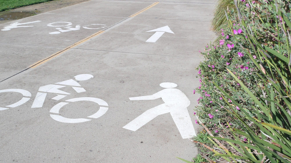 Biker and pedestrian symbols painted on a road